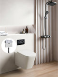 Qubist  R&amp;T inwall floor toilet suite G30032/G3005+ KDK103/KDK103-B