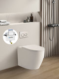 Elvera Geberit In Wall Floor Toilet Suite Sigma8/Alpha12+KDK107R